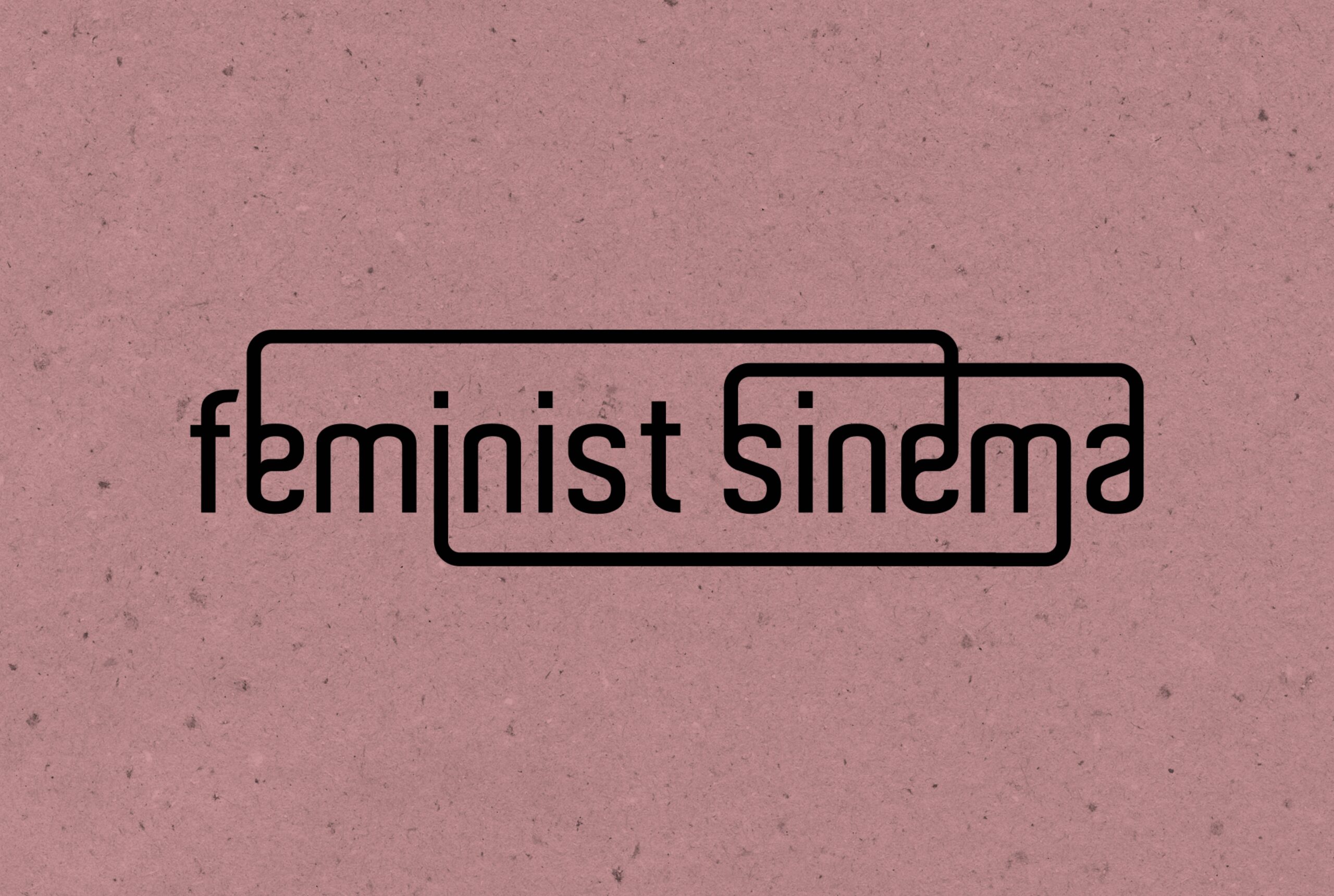 Feminist Sinema